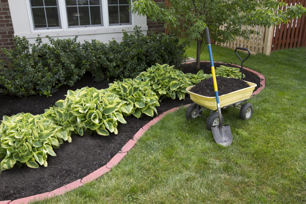 Mulch around the bushes along the side of a house